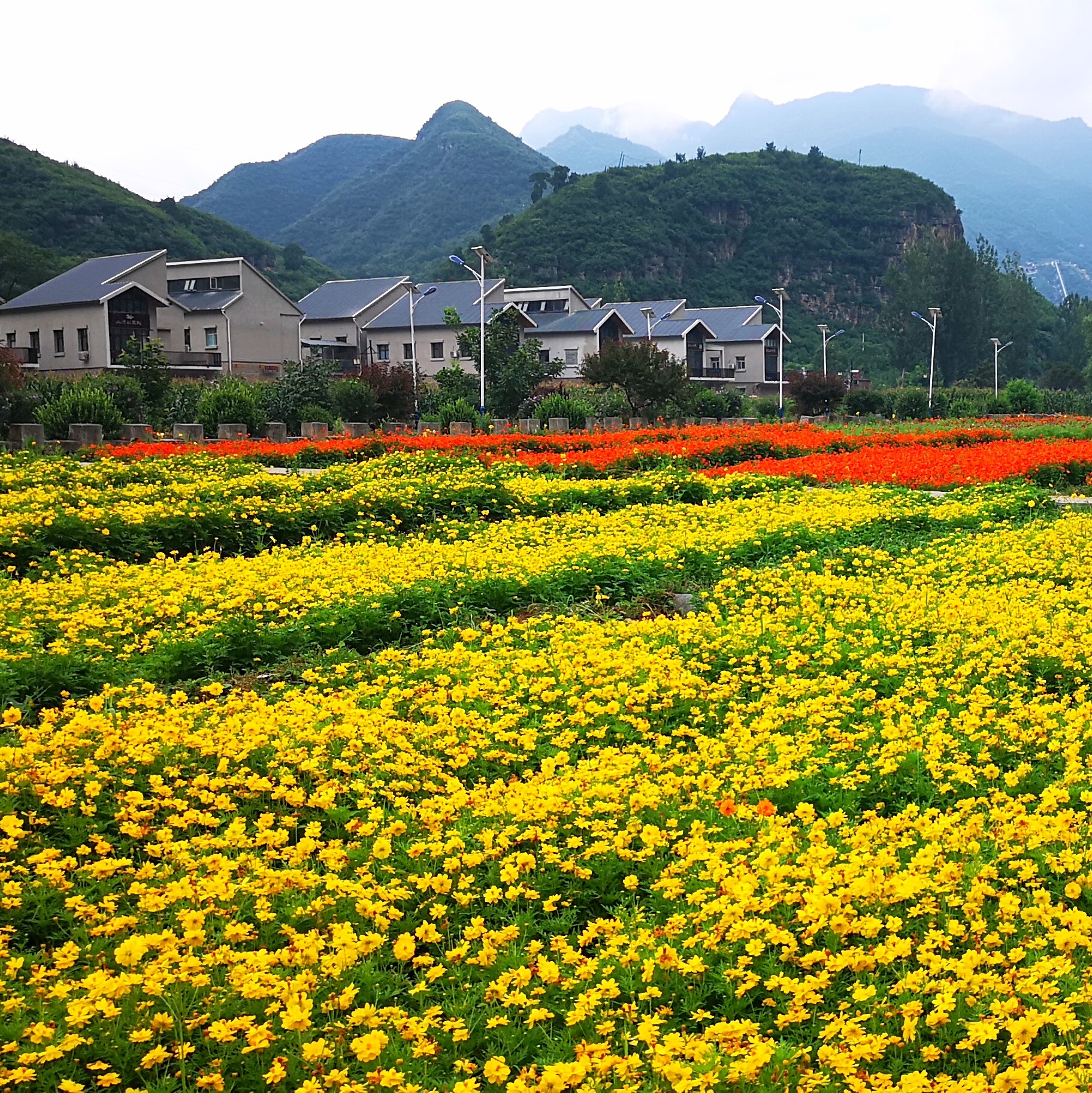 周边景区